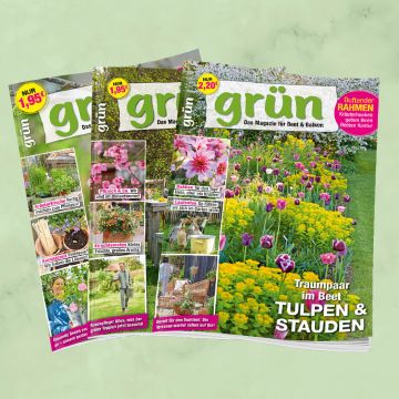 Grün Jahresabo für mich