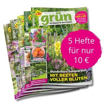 5 Ausgaben zum Sonderpreis