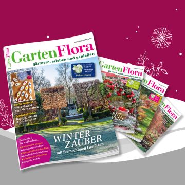 GartenFlora Geschenkabo
