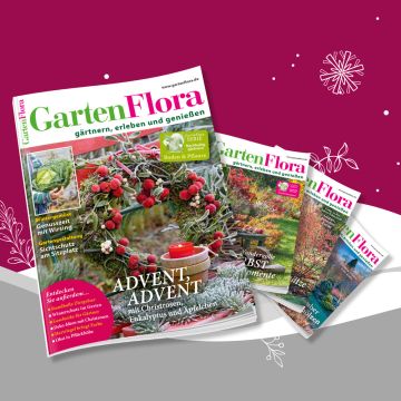 GartenFlora Geschenkabo
