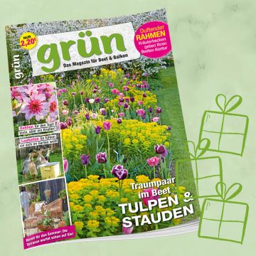 Grün Geschenkabo für 1 Jahr