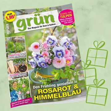 Grün Geschenkabo-Verlängerung