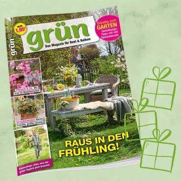 Grün Geschenkabo-Verlängerung