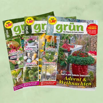 Grün Jahresabo verlängern