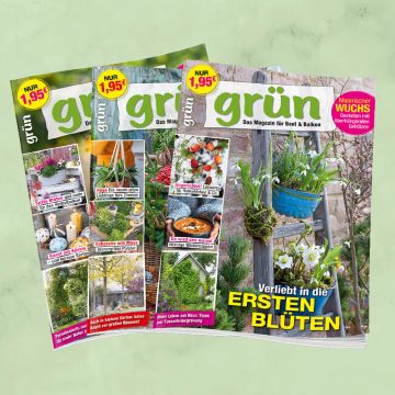 Grün Jahresabo verlängern