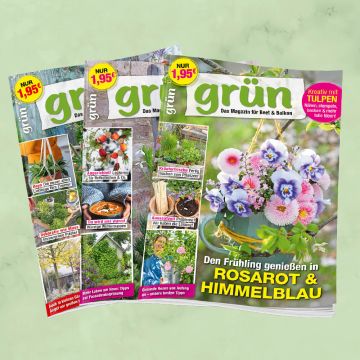 Grün Jahresabo verlängern