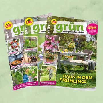 Grün Jahresabo verlängern