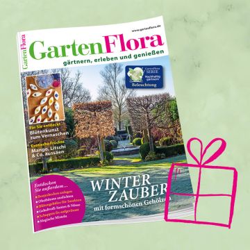 GartenFlora Geschenkabo für 1 Jahr