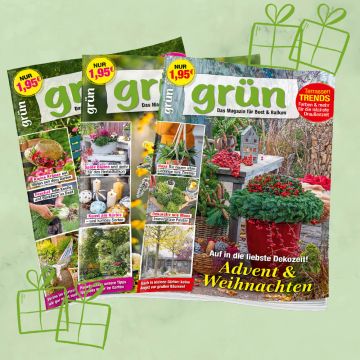 Grün Geschenkabo unbefristet