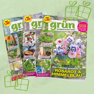 Grün Geschenkabo unbefristet