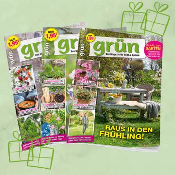 Grün Geschenkabo unbefristet