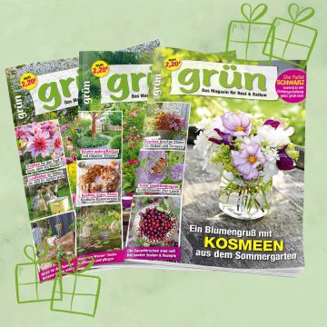 Grün Geschenkabo unbefristet