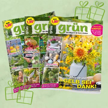 Grün Geschenkabo unbefristet