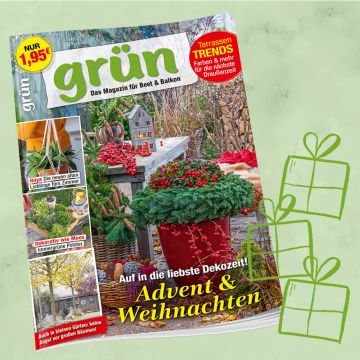 Grün Geschenkabo für 1 Jahr