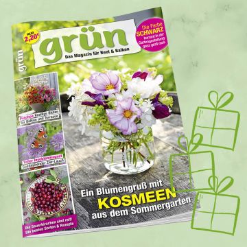 Grün Geschenkabo für 1 Jahr