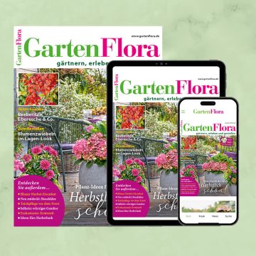 GartenFlora Kombiabo Heft und ePaper