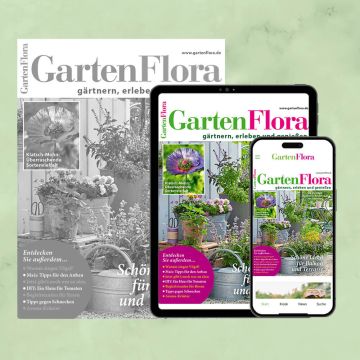 GartenFlora ePaper-Upgrade für Heft-Abonnenten