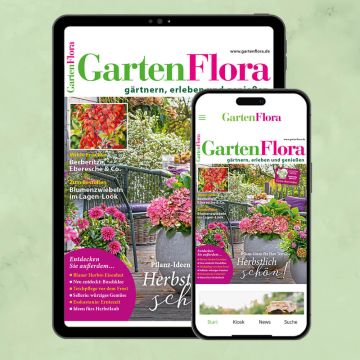 GartenFlora Flexabo