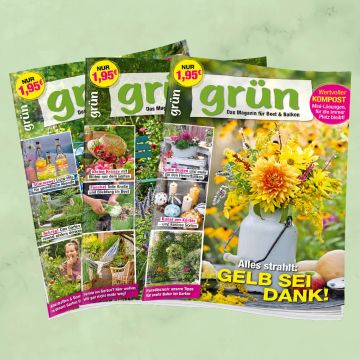 Grün Jahresabo für mich
