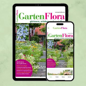 GartenFlora ePaper-Abo