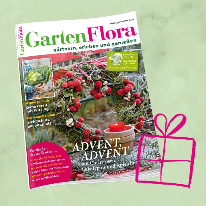 GartenFlora Geschenkabo für 1 Jahr