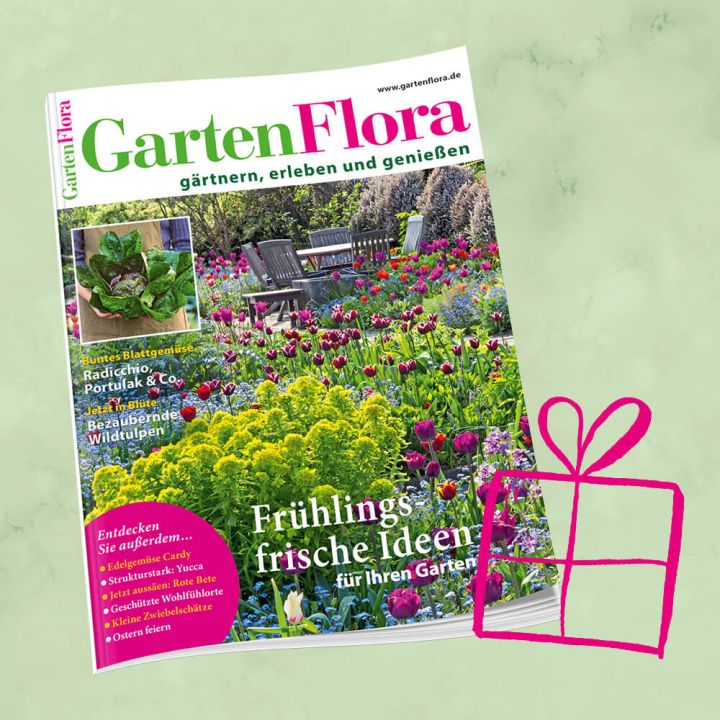GartenFlora Geschenkabo für 1 Jahr