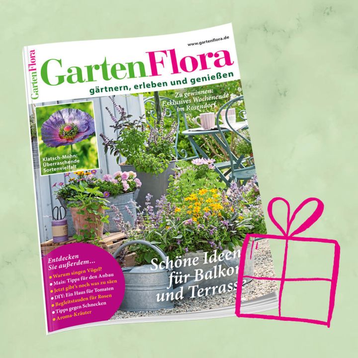 GartenFlora Geschenkabo f&uuml;r 1 Jahr