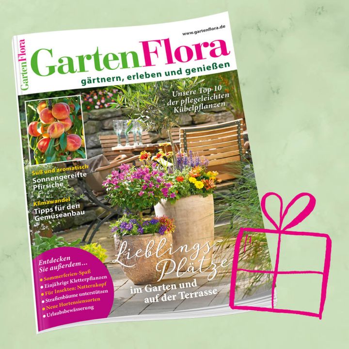 GartenFlora Geschenkabo für 1 Jahr