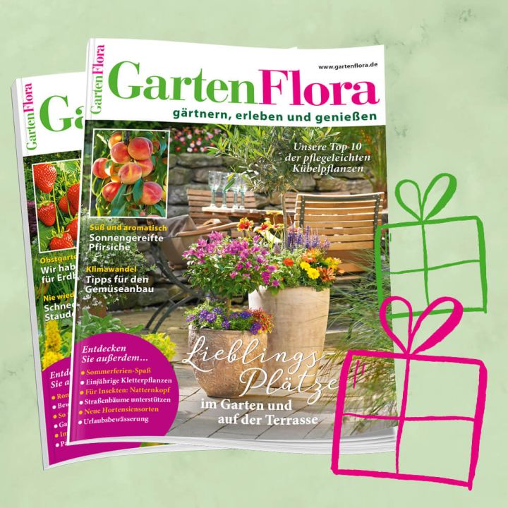 GartenFlora Geschenkabo für 2 Jahre
