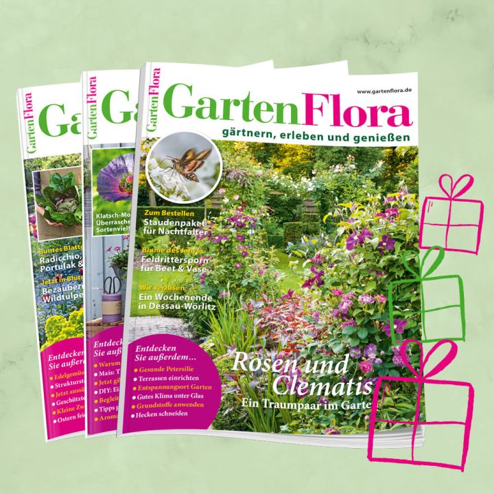 GartenFlora Geschenkabo unbefristet