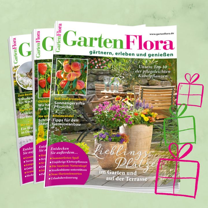 GartenFlora Geschenkabo unbefristet