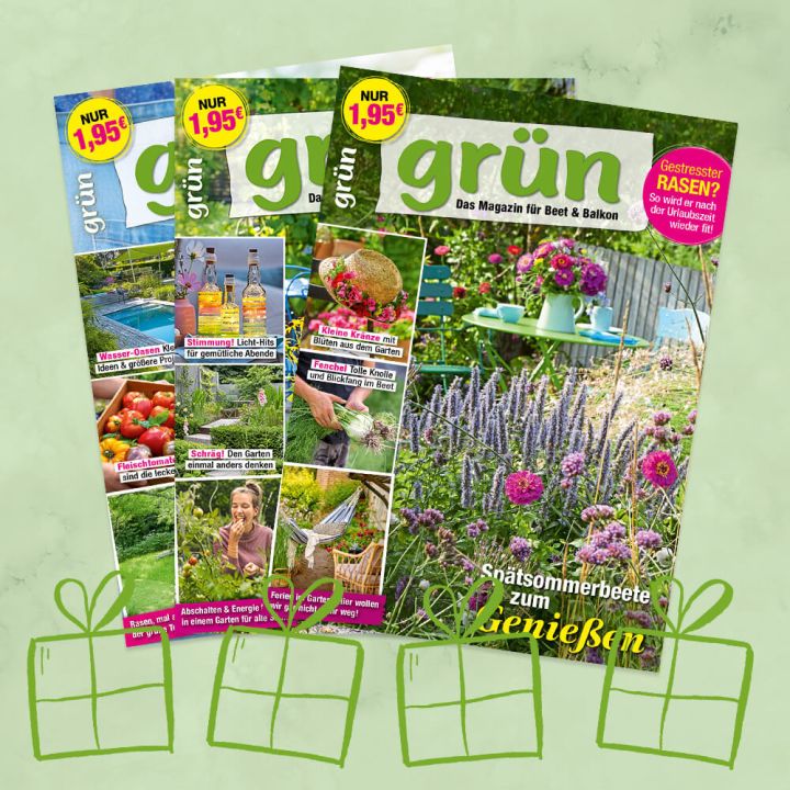 grün Geschenkabo unbefristet