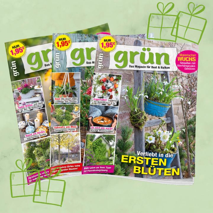 Grün Geschenkabo unbefristet