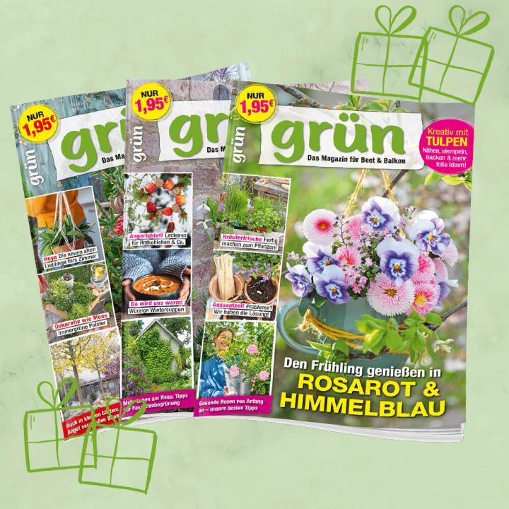 Grün Geschenkabo unbefristet