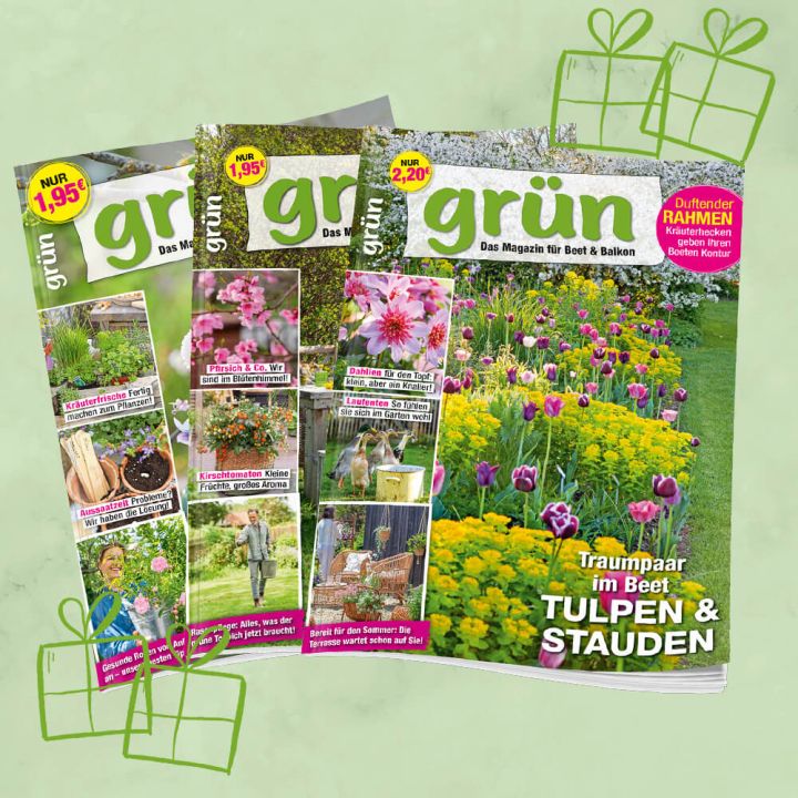 Gr&uuml;n Geschenkabo unbefristet