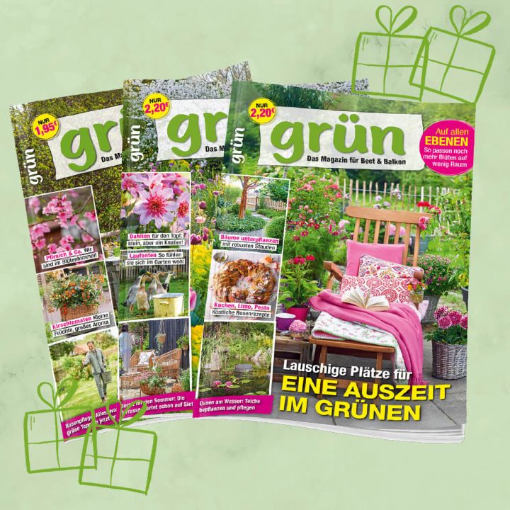 Gr&uuml;n Geschenkabo unbefristet