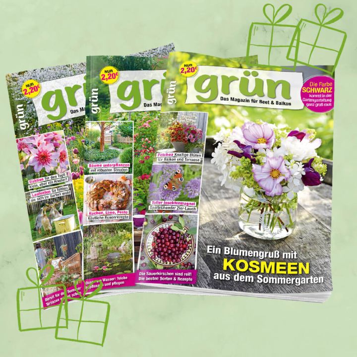 Grün Geschenkabo unbefristet