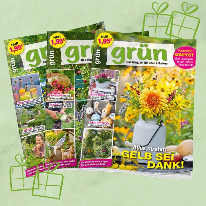Grün Geschenkabo unbefristet