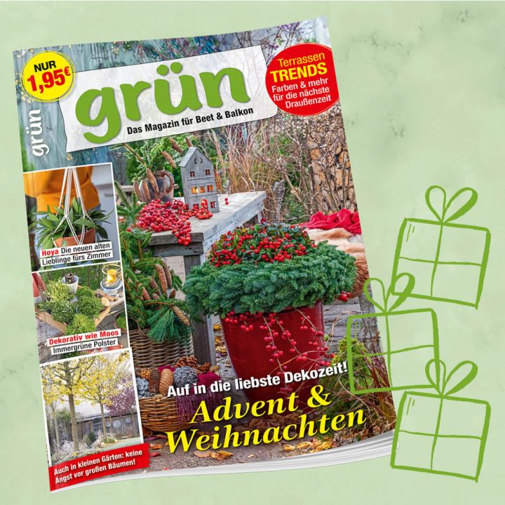Grün Geschenkabo für 1 Jahr