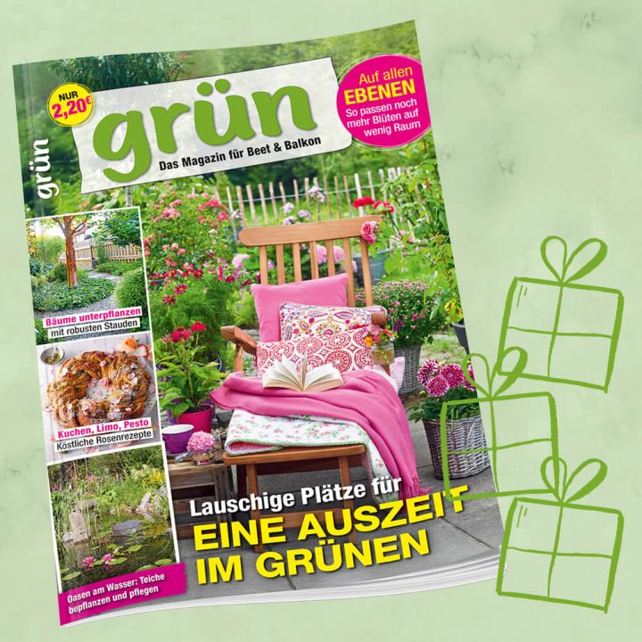 Grün Geschenkabo für 1 Jahr