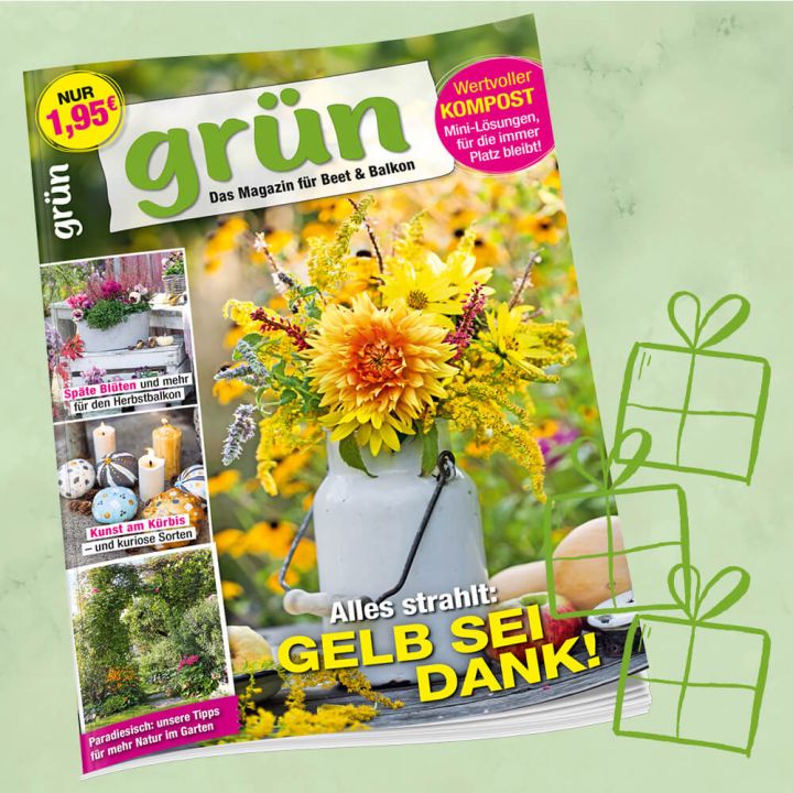 Grün Geschenkabo für 1 Jahr