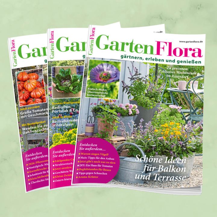 GartenFlora Jahresabo f&uuml;r mich