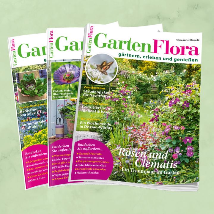 GartenFlora Jahresabo f&uuml;r mich