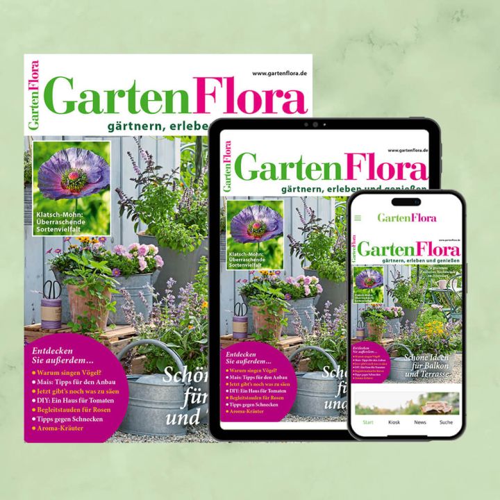 GartenFlora Kombiabo Heft und ePaper
