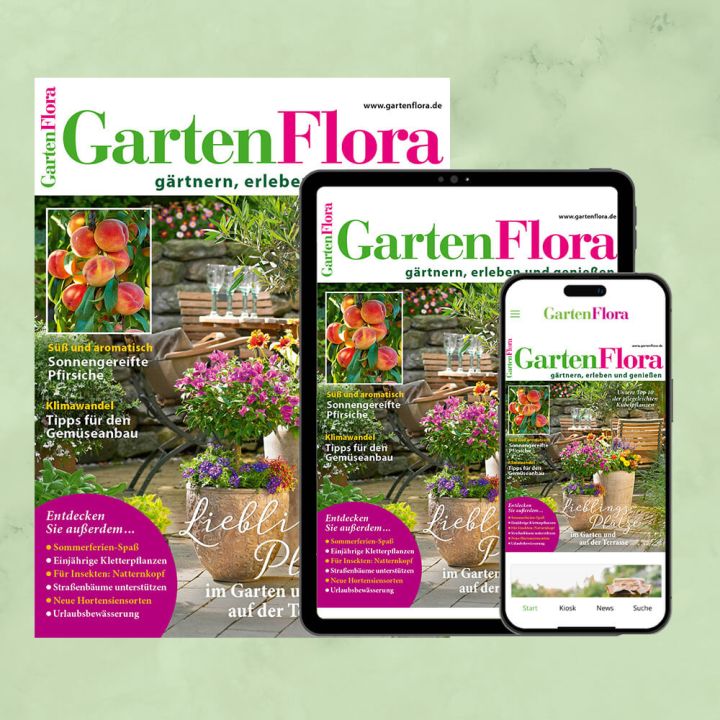 GartenFlora Kombiabo Heft und ePaper