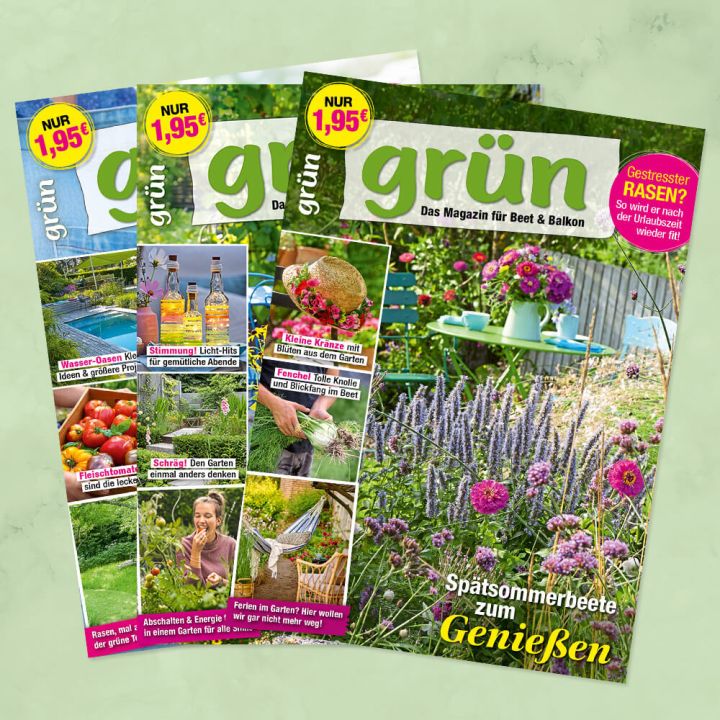 grün Jahresabo für mich