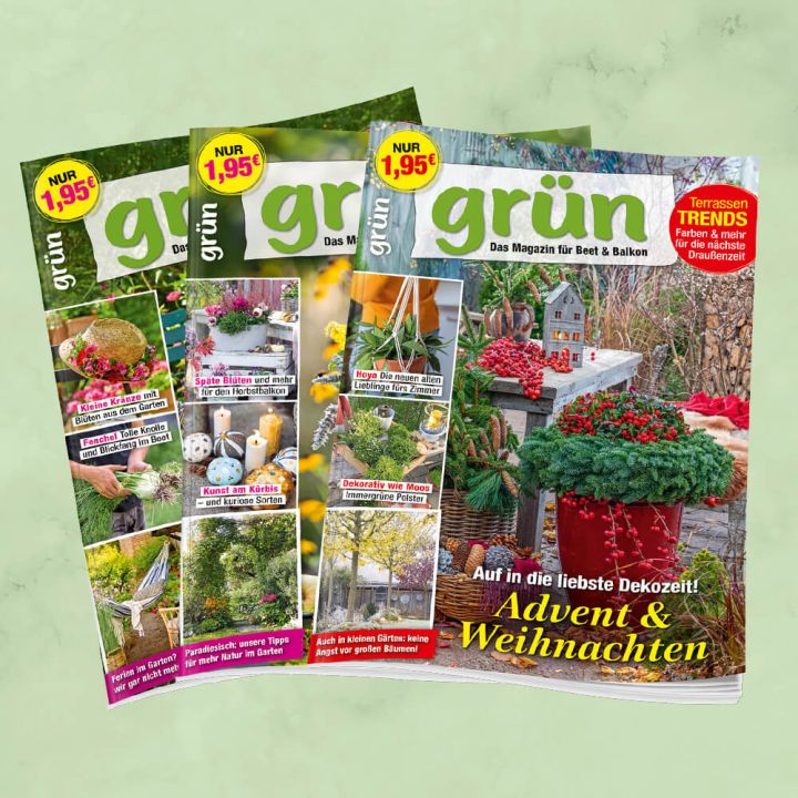 Grün Jahresabo für mich