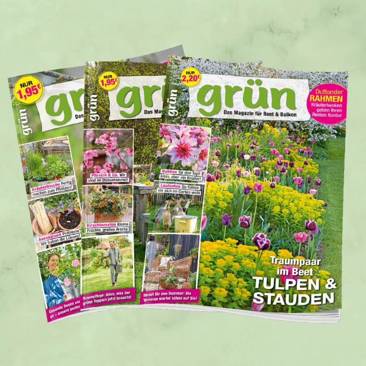 Gr&uuml;n Jahresabo f&uuml;r mich
