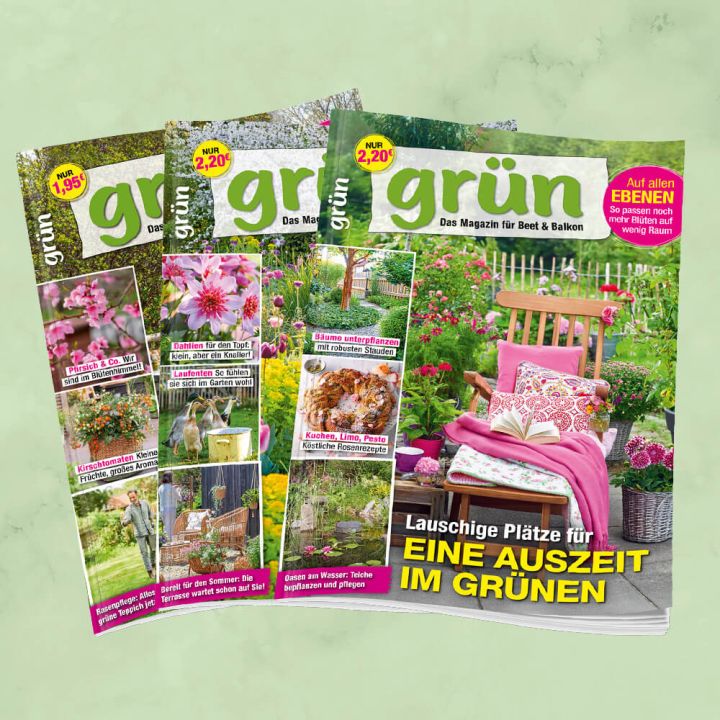 Grün Jahresabo für mich