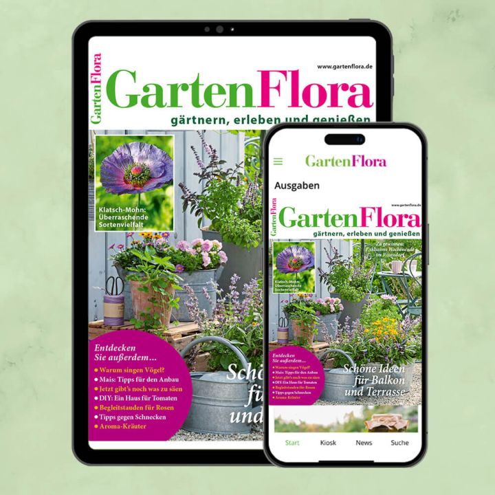 GartenFlora ePaper-Abo